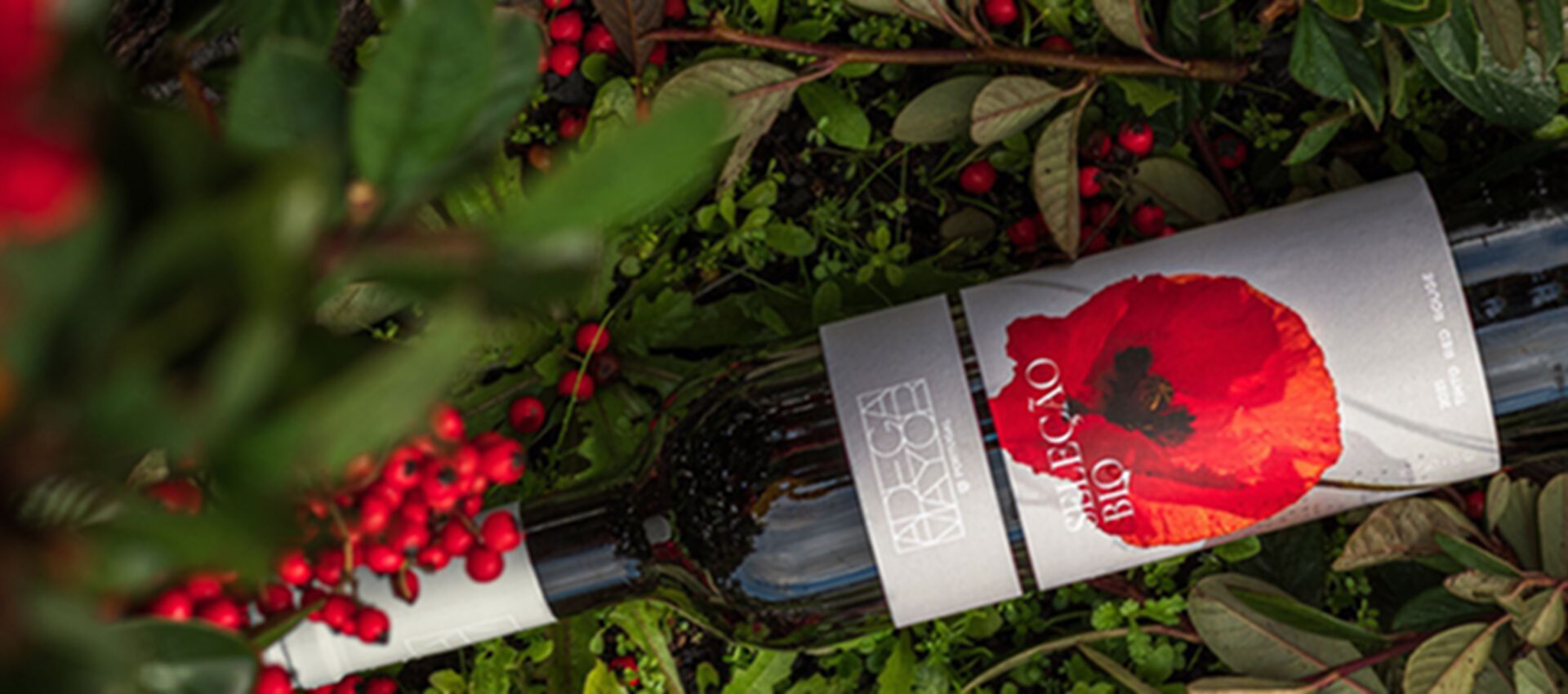 Novos Adega Mayor Seleção BIO: vinhos que nascem do respeito pela natureza 