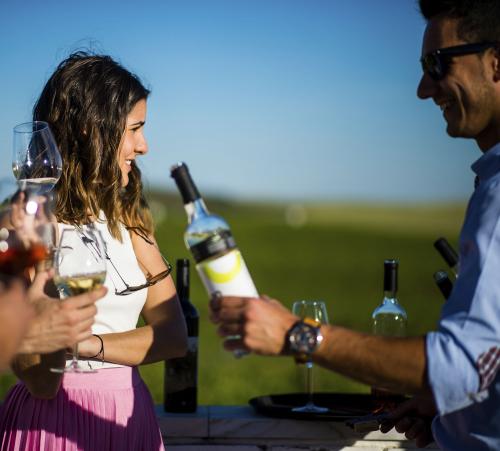 VISIT TO ADEGA MAYOR WITH WINE TASTING