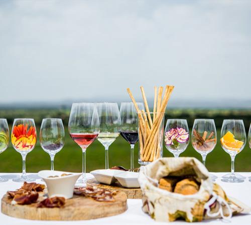 Visit to Adega Mayor with Picnic