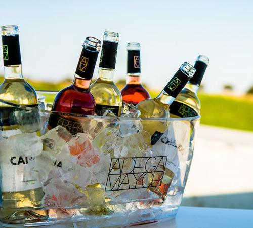 Guided Tour With Wine Tasting