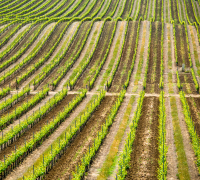 AVENTUREIROS DA RAIA