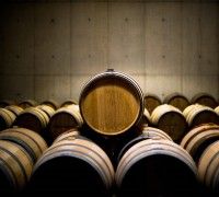 VIAGEM DOS TANOEIROS