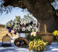 EXPERIÊNCIA MAYOR COM PIQUENIQUE